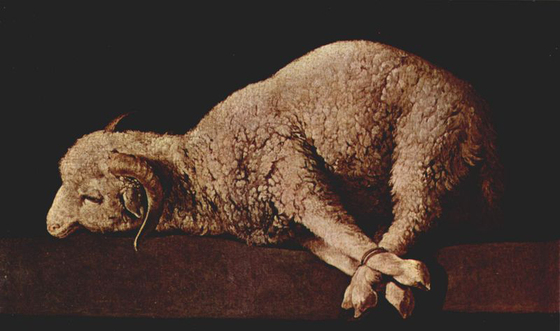 Sacrifice A Lamb