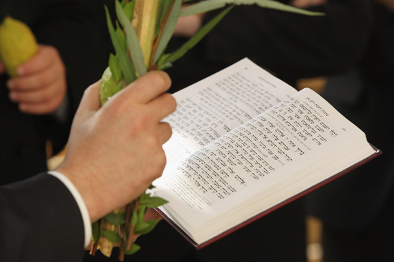 Orthodox Jews hold branches and fruit of etrog, a type of citrus fruit, while blessing a sukkah, an outdoor hut, as part of the Sukkot holiday at the Chabad center, Oct. 12, 2011 in Berlin, Germany.
