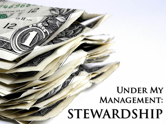 Stewardship - Under My Management