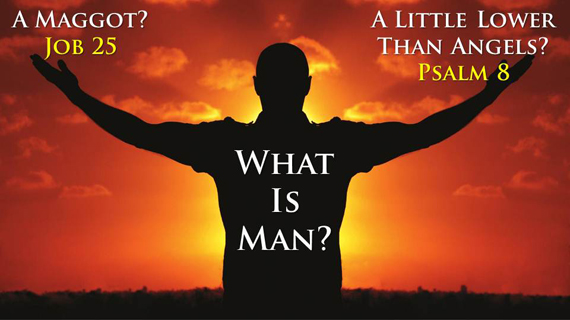 What Is Man?