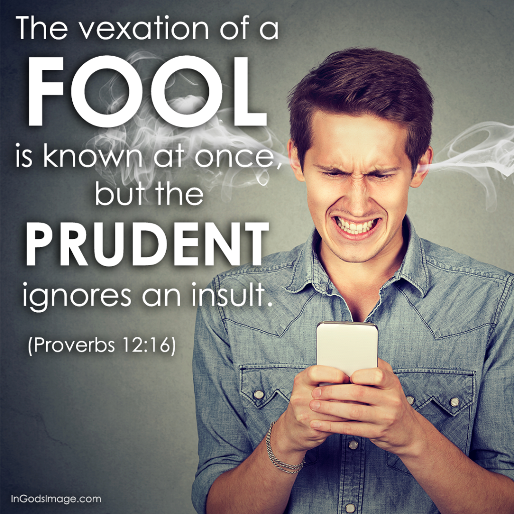 proverbs 12 16