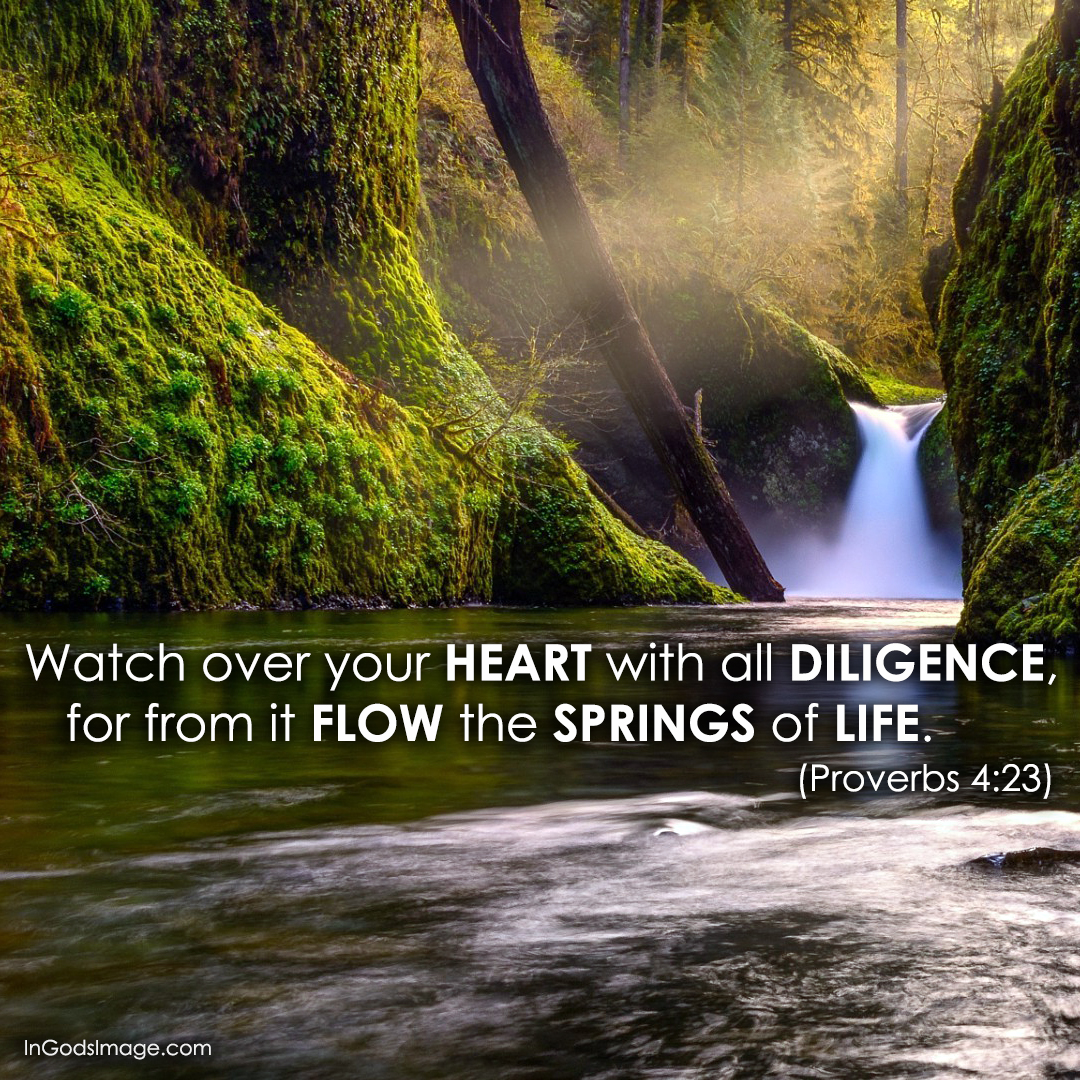 Weekend Wisdom Proverbs 4 23 In God s Image