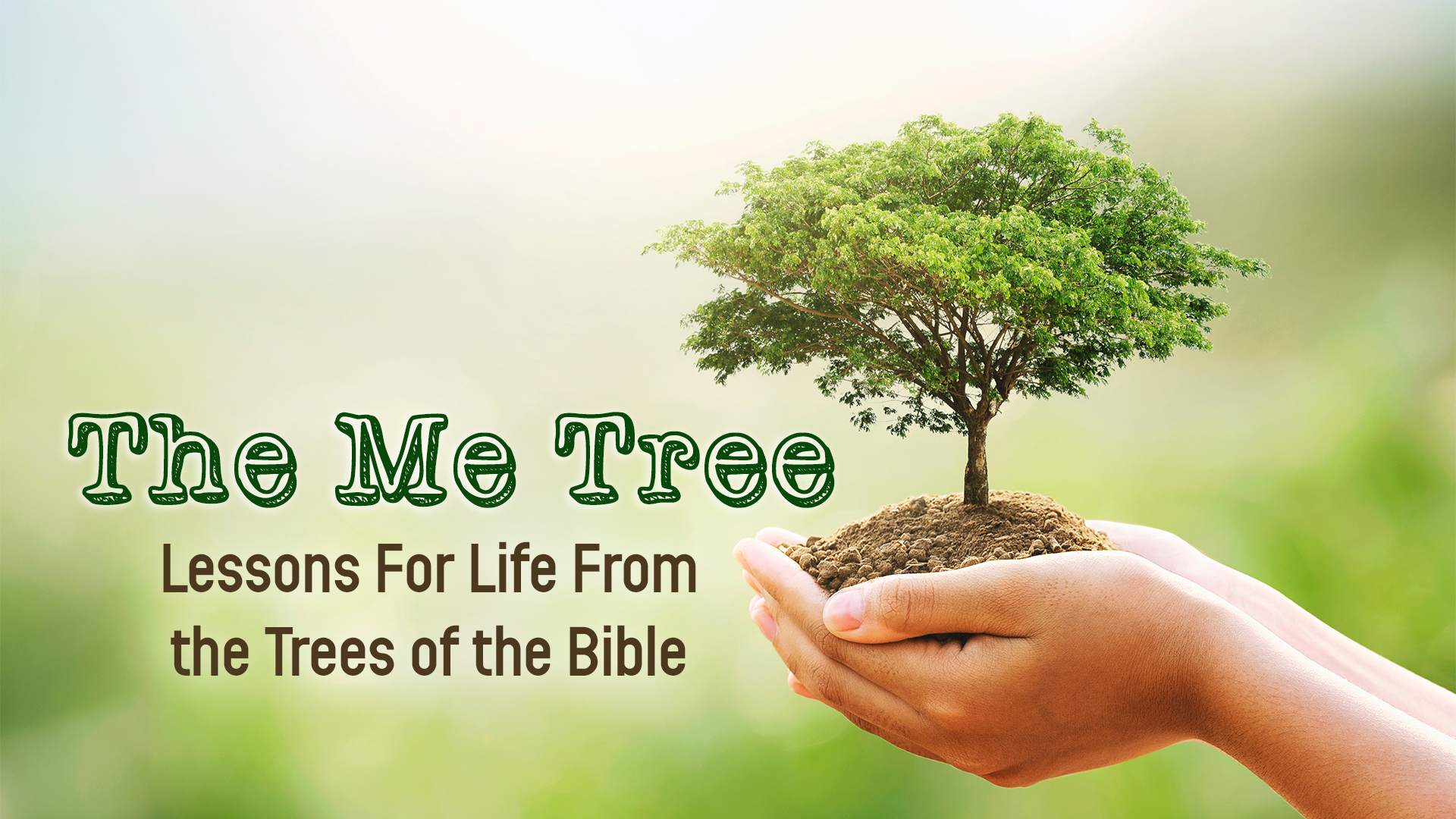 What Is The Meaning Of Christmas Tree In The Bible What Is The Meaning Of Christmas Tree In The Bible