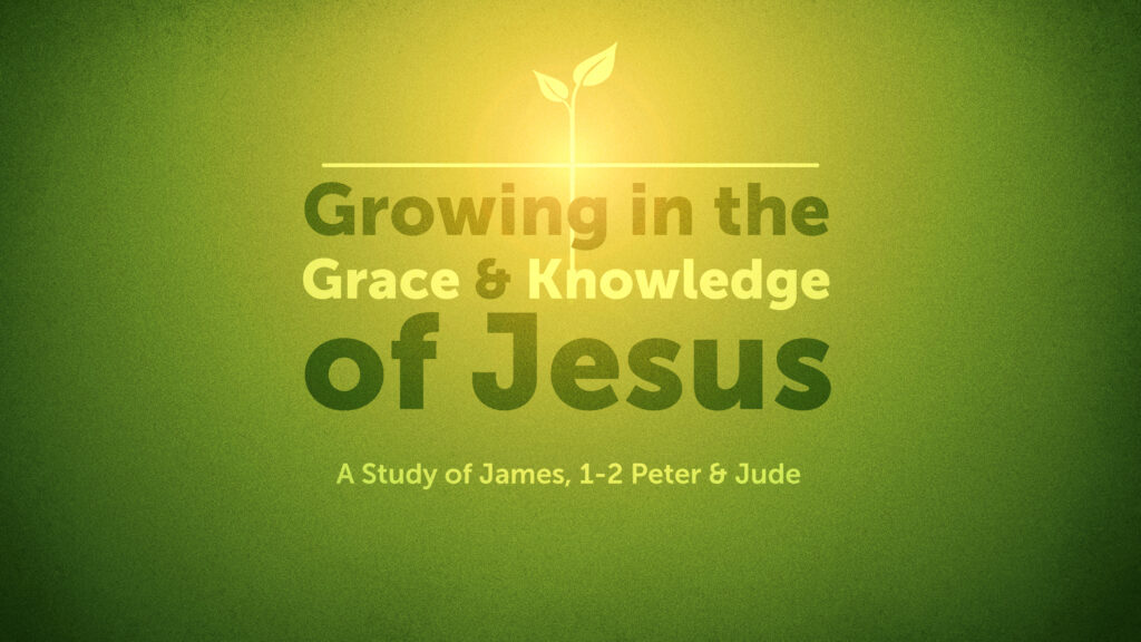 Building Blocks: Growing in the Grace & Knowledge of Jesus: A Study of ...