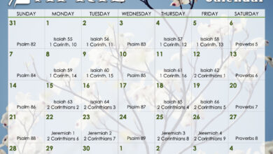 Reading Calendars – In God's Image